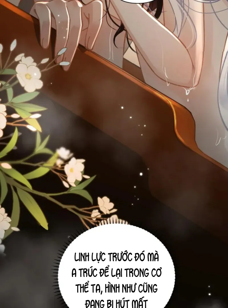 Đến Đông Hải Tìm Mỹ Nhân - Chương 54 - Trang 14