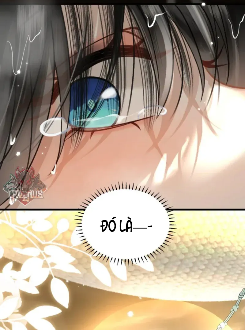 Đến Đông Hải Tìm Mỹ Nhân - Chương 54 - Trang 16