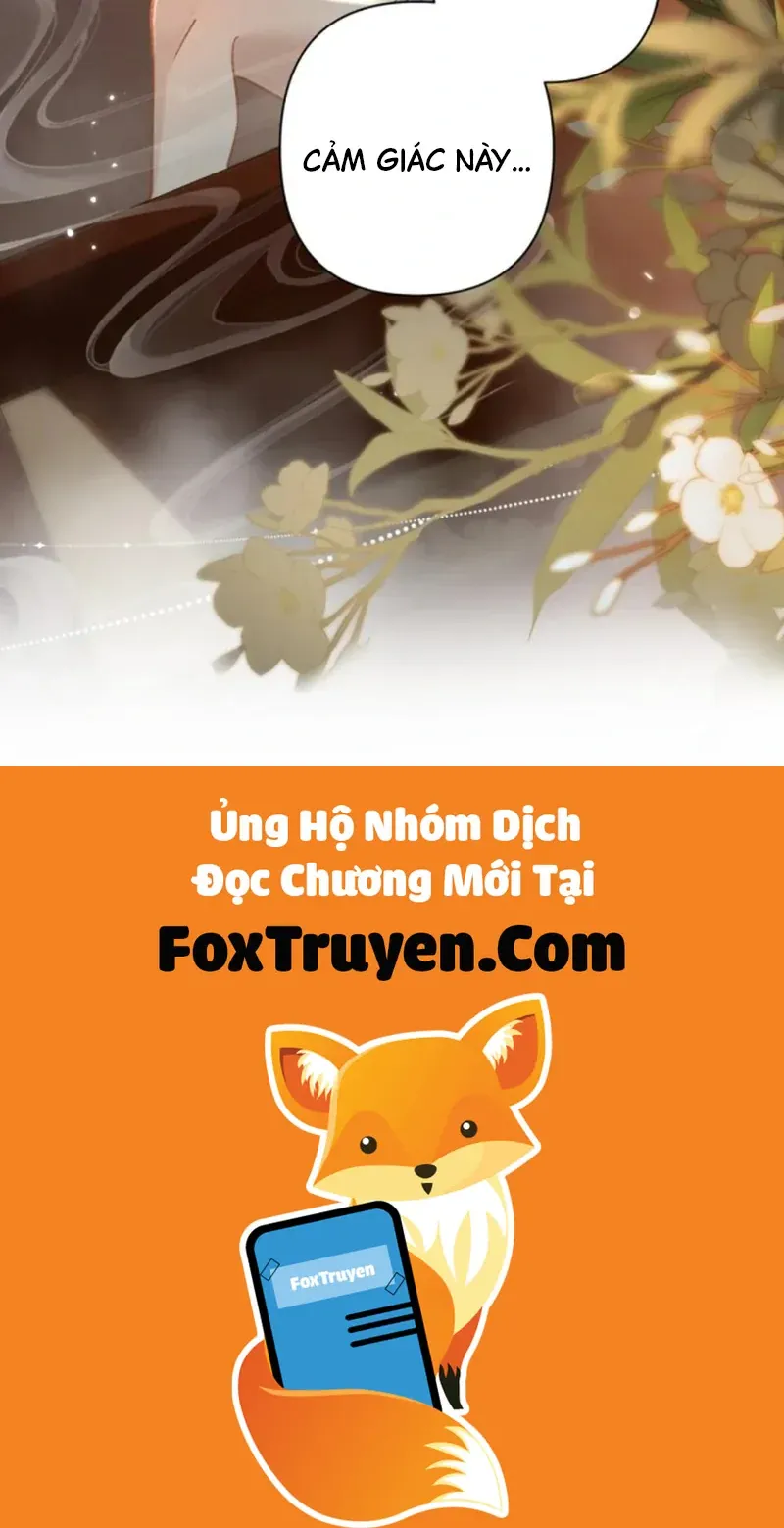 Đến Đông Hải Tìm Mỹ Nhân - Chương 54 - Trang 65