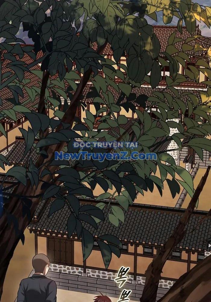 Thiên Tài Võ Thuật Hồi Quy Chương 95 Ảnh 29