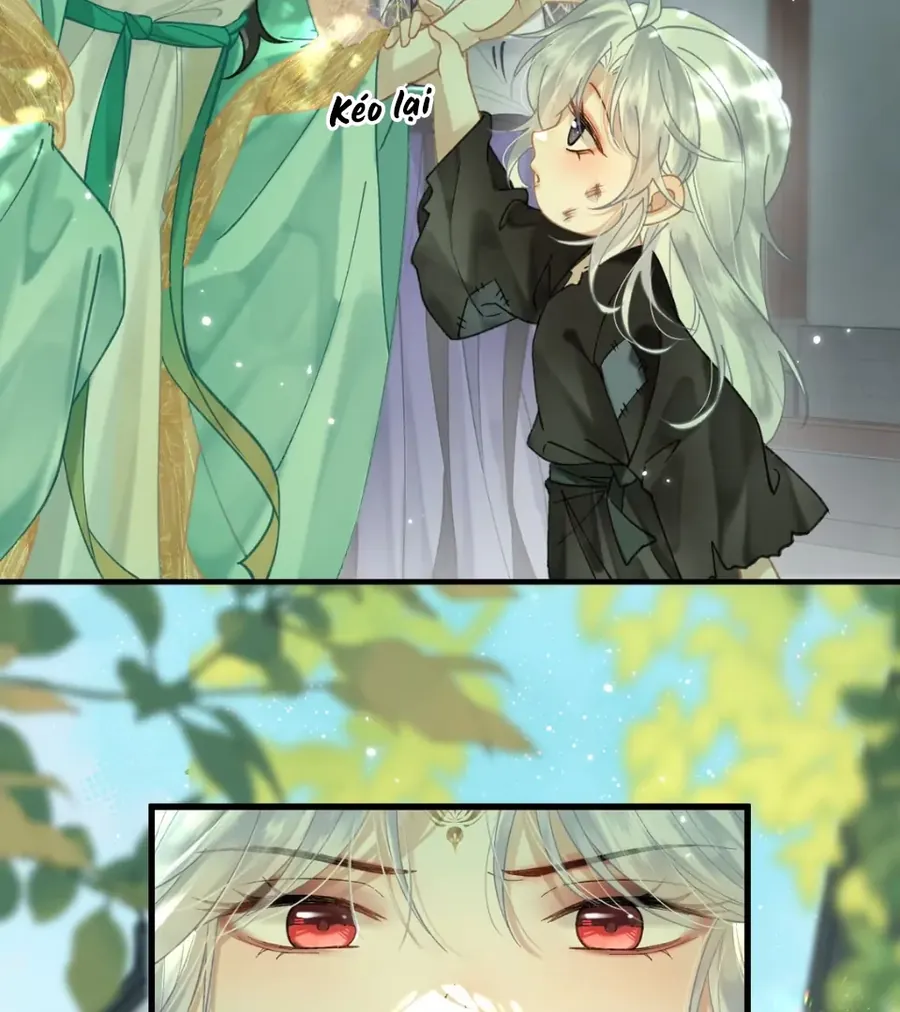 Đến Đông Hải Tìm Mỹ Nhân - Chương 58 - Trang 9