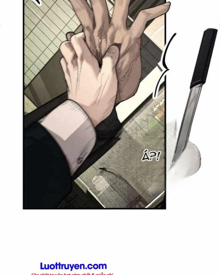 Page 233