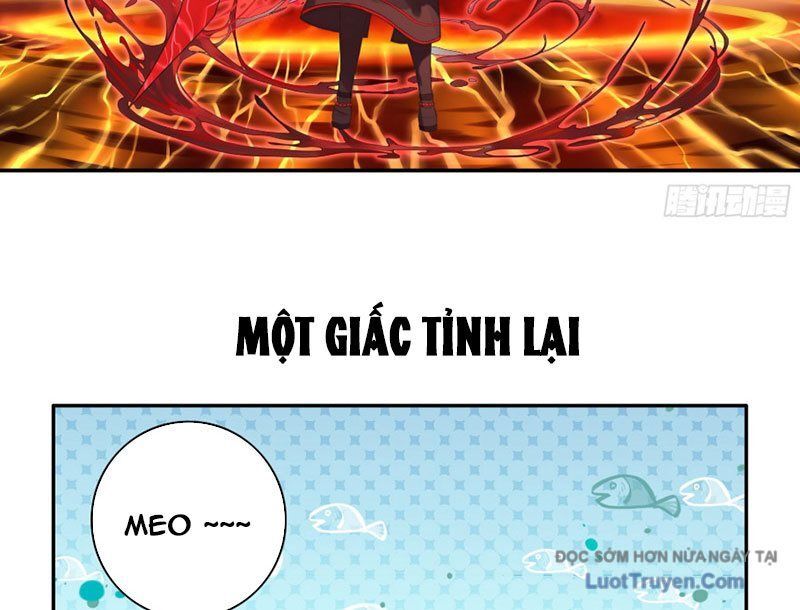 Sau Khi Mẹ Bị Giết, Tôi Trở Thành Miêu Nương - Chương 53 - Trang 29