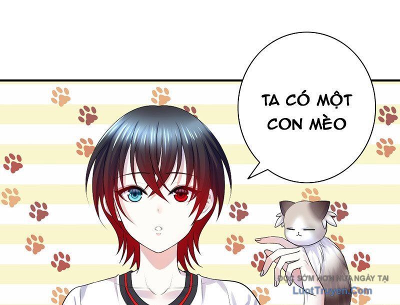 Sau Khi Mẹ Bị Giết, Tôi Trở Thành Miêu Nương - Chương 53 - Trang 2