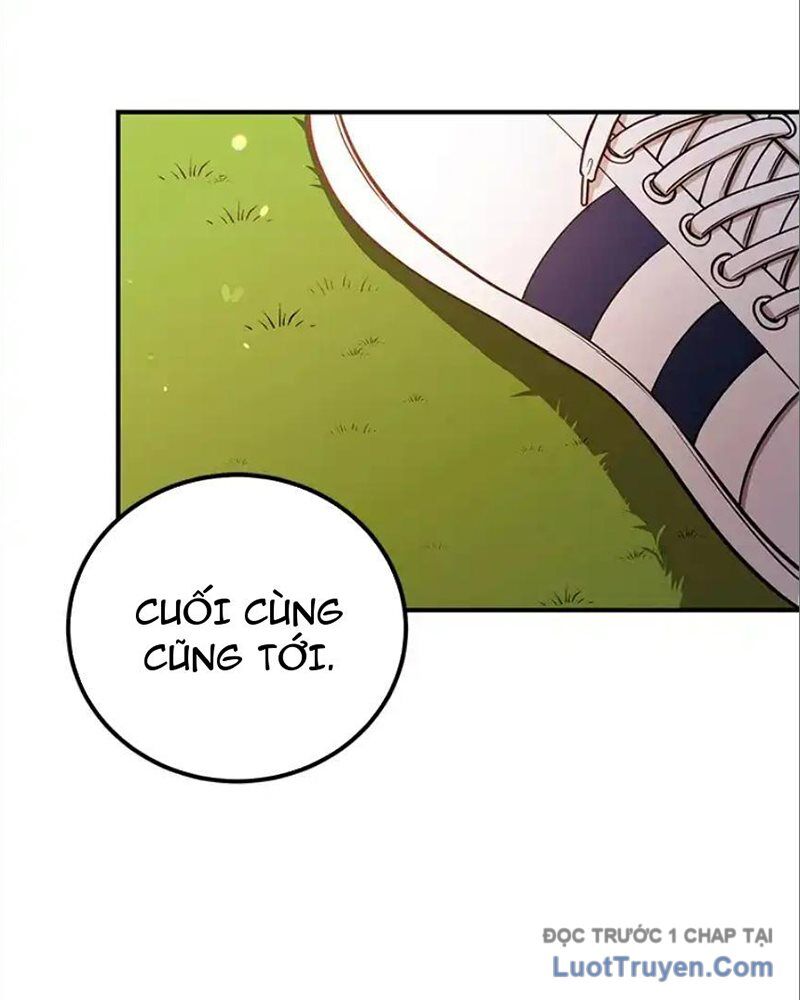 Tôi May Mắn Triệu Hồi Được Tinh Linh Hộ Vệ Hạng 10 - Chương 32 - Trang 5