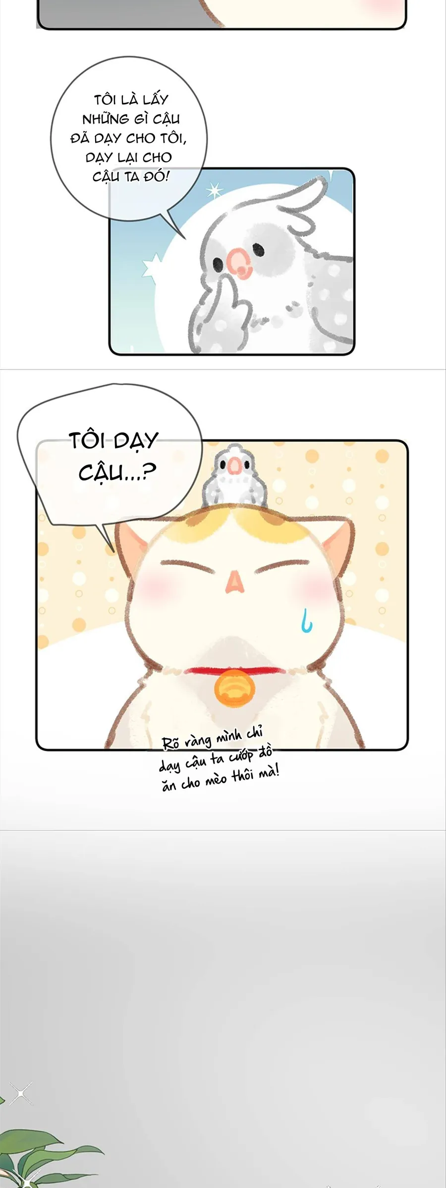 Lục Lạc Mèo - Chương 28 - Trang 10