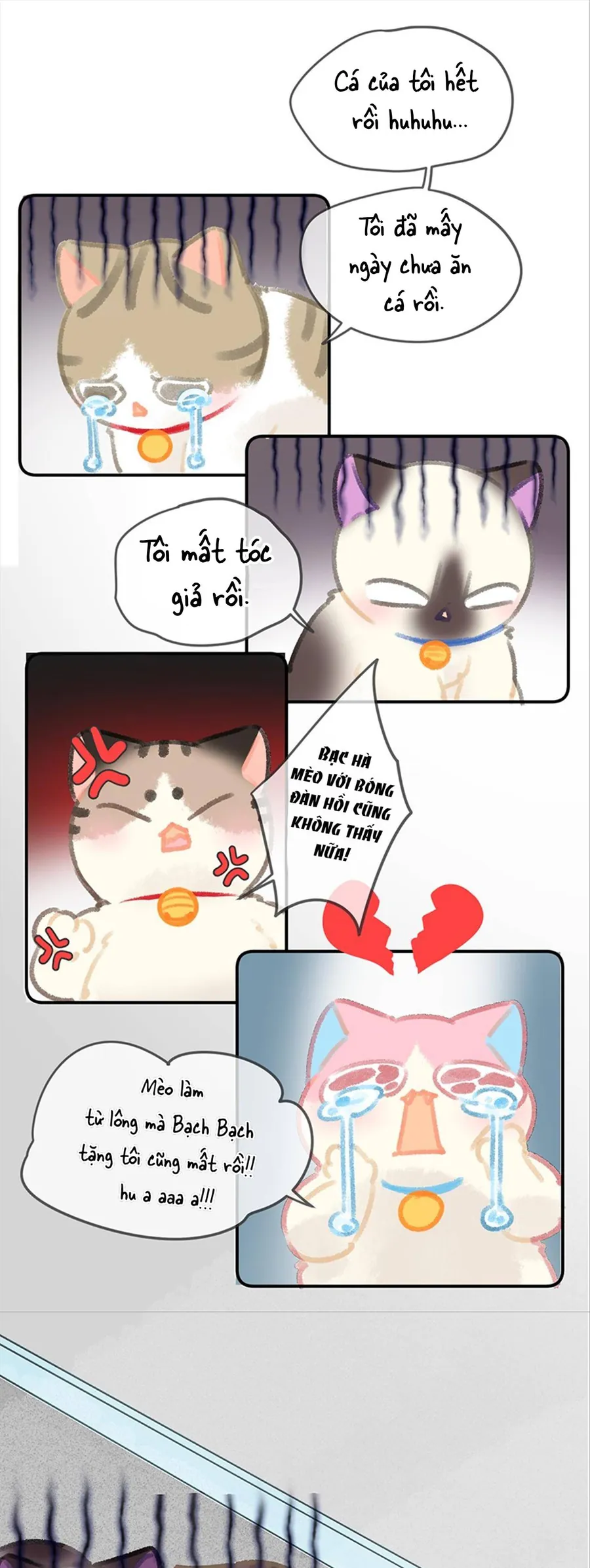 Lục Lạc Mèo - Chương 28 - Trang 8