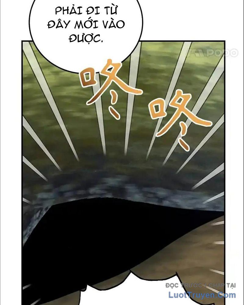 Tôi May Mắn Triệu Hồi Được Tinh Linh Hộ Vệ Hạng 10 - Chương 35 - Trang 20