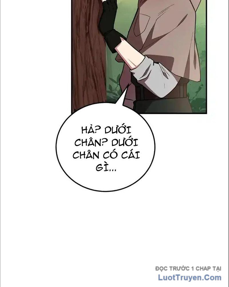 Tôi May Mắn Triệu Hồi Được Tinh Linh Hộ Vệ Hạng 10 - Chương 35 - Trang 17