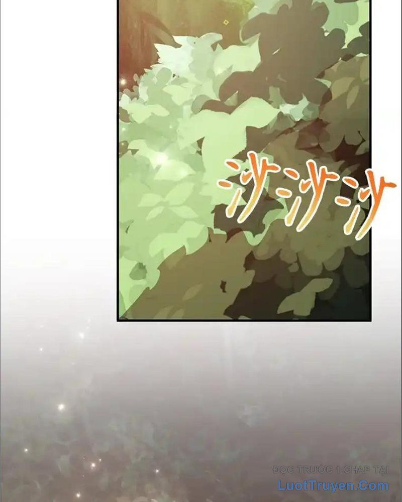 Tôi May Mắn Triệu Hồi Được Tinh Linh Hộ Vệ Hạng 10 - Chương 35 - Trang 4