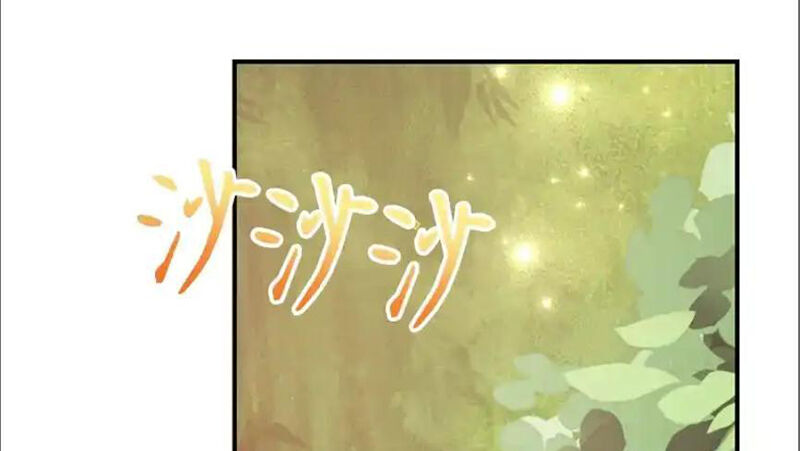 Tôi May Mắn Triệu Hồi Được Tinh Linh Hộ Vệ Hạng 10 - Chương 35 - Trang 3