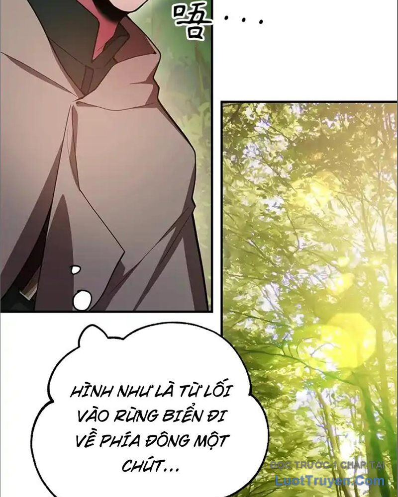 Tôi May Mắn Triệu Hồi Được Tinh Linh Hộ Vệ Hạng 10 - Chương 35 - Trang 10