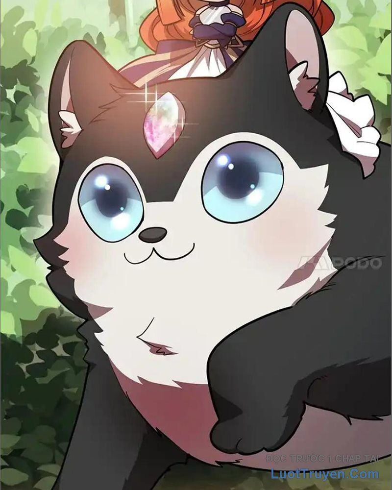 Tôi May Mắn Triệu Hồi Được Tinh Linh Hộ Vệ Hạng 10 - Chương 35 - Trang 6