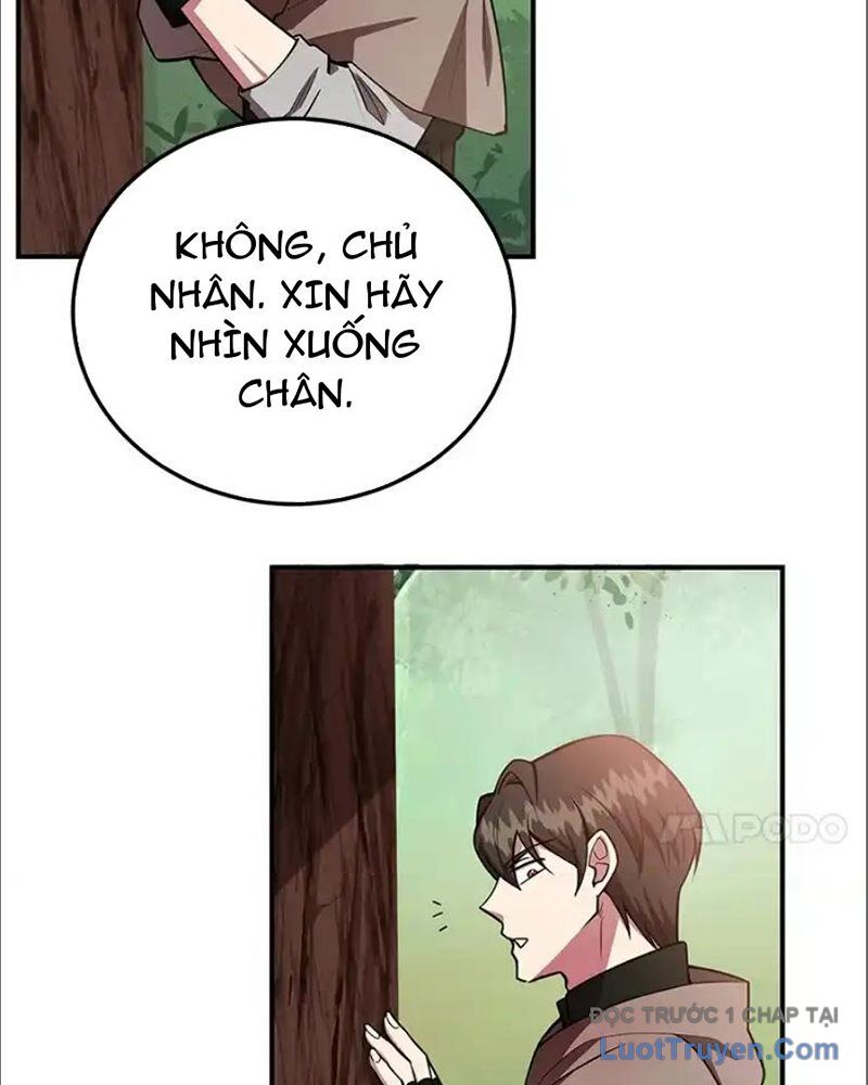 Tôi May Mắn Triệu Hồi Được Tinh Linh Hộ Vệ Hạng 10 - Chương 35 - Trang 16