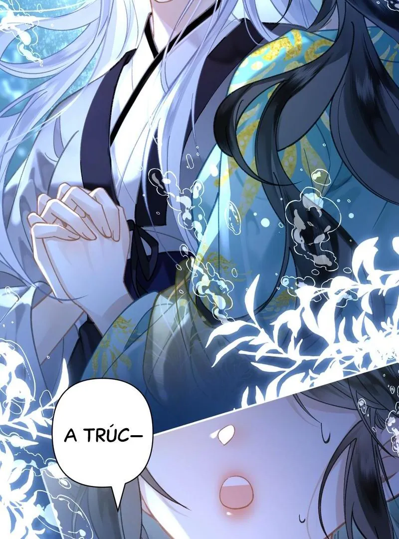 Đến Đông Hải Tìm Mỹ Nhân - Chương 41 - Trang 12