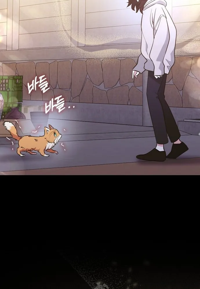 Kẻ Trộm Bóng Đêm Và Cuộc Hôn Nhân Giả Với Điều Tra Viên - Chương 2 - Trang 52