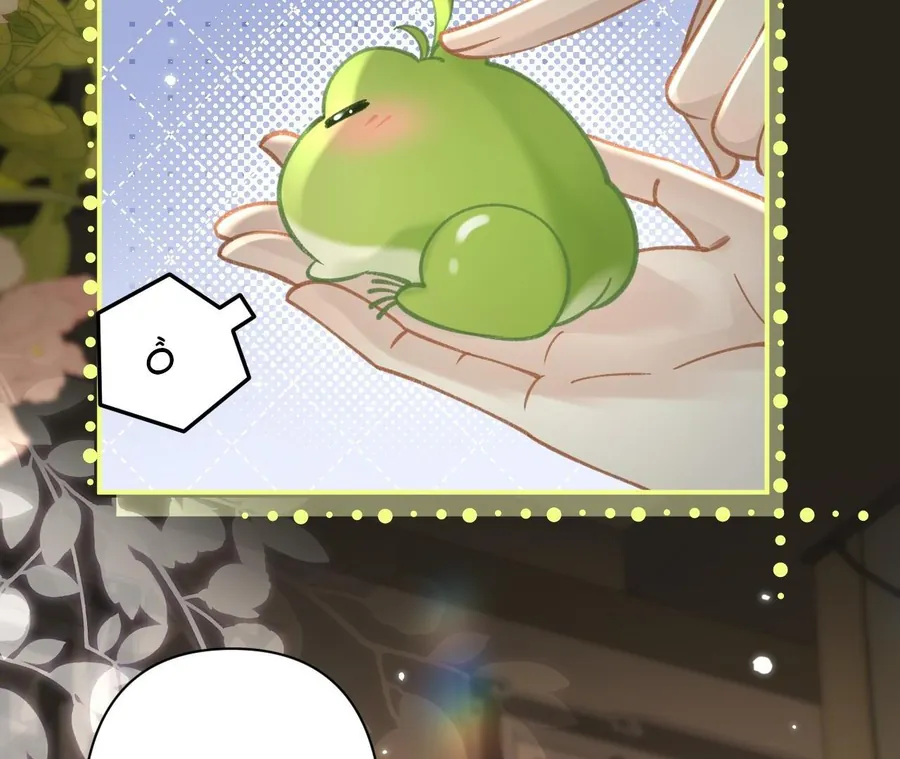 Đến Đông Hải Tìm Mỹ Nhân - Chương 42 - Trang 65