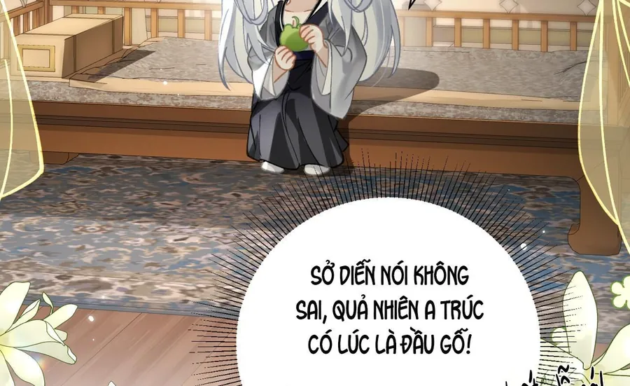 Đến Đông Hải Tìm Mỹ Nhân - Chương 42 - Trang 70