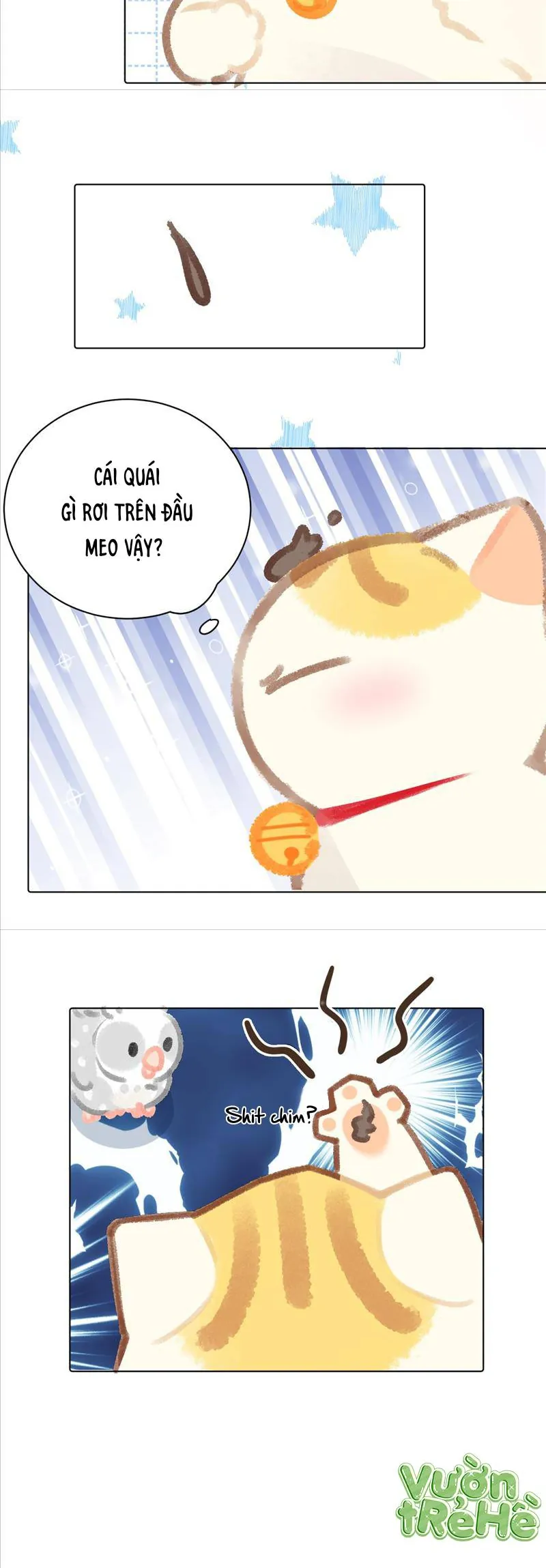 Lục Lạc Mèo - Chương 24 - Trang 4