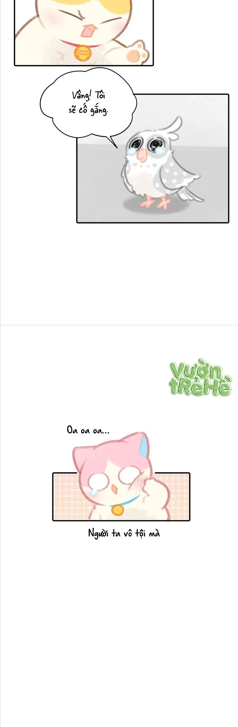 Lục Lạc Mèo - Chương 24 - Trang 16