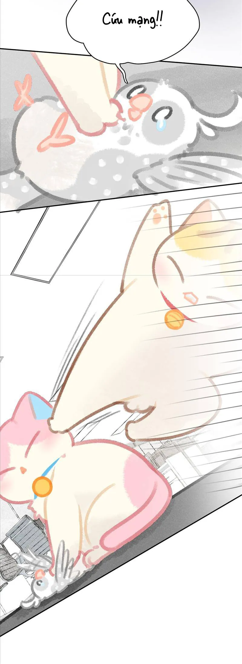 Lục Lạc Mèo - Chương 24 - Trang 13