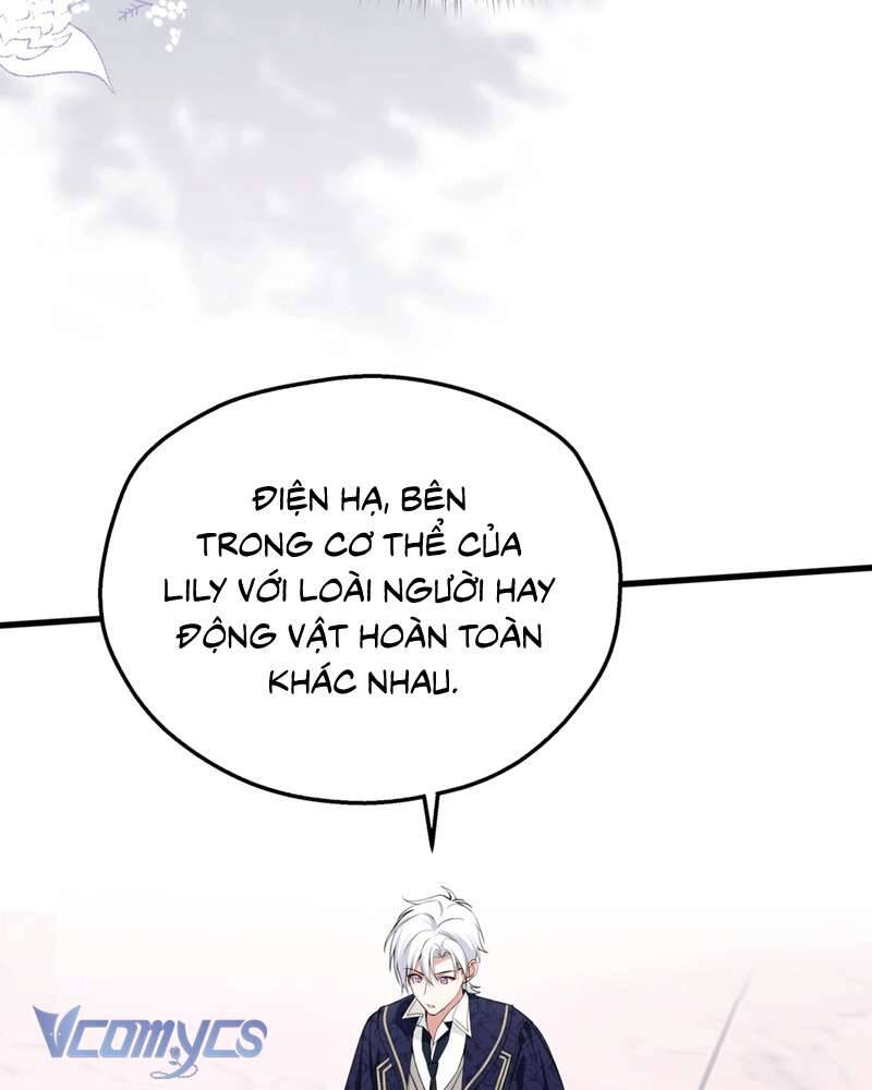 Cô Ấy Sẽ Thuần Hóa Các Anh Hùng - Chương 17 - Trang 8