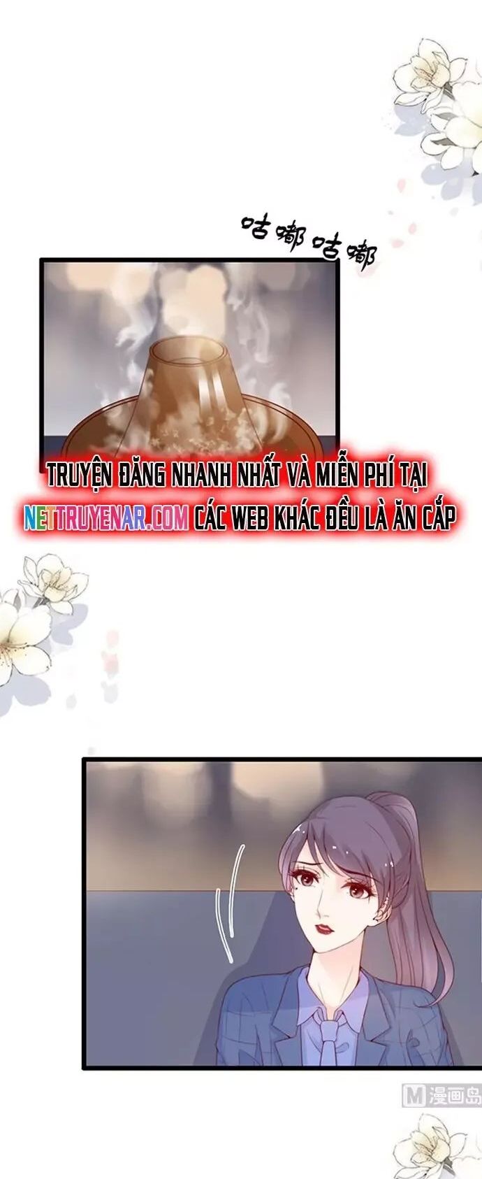 Chu Tiên Sinh, Ép Cưới Phạm Pháp Đó - Chương 75 - Trang 3