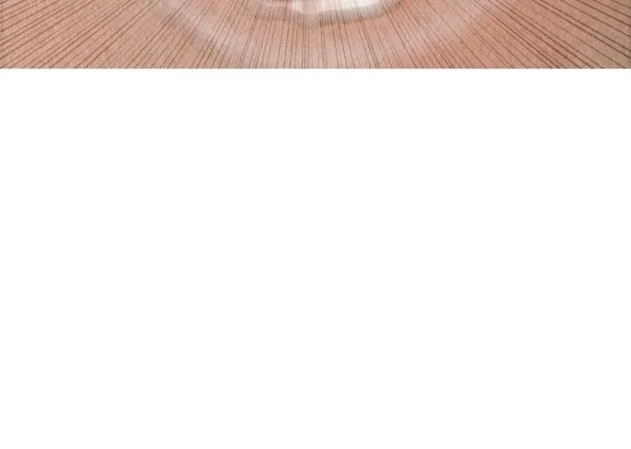 Cửa Hàng Đồ Cổ Tương Lai - Chương 65 - Trang 144