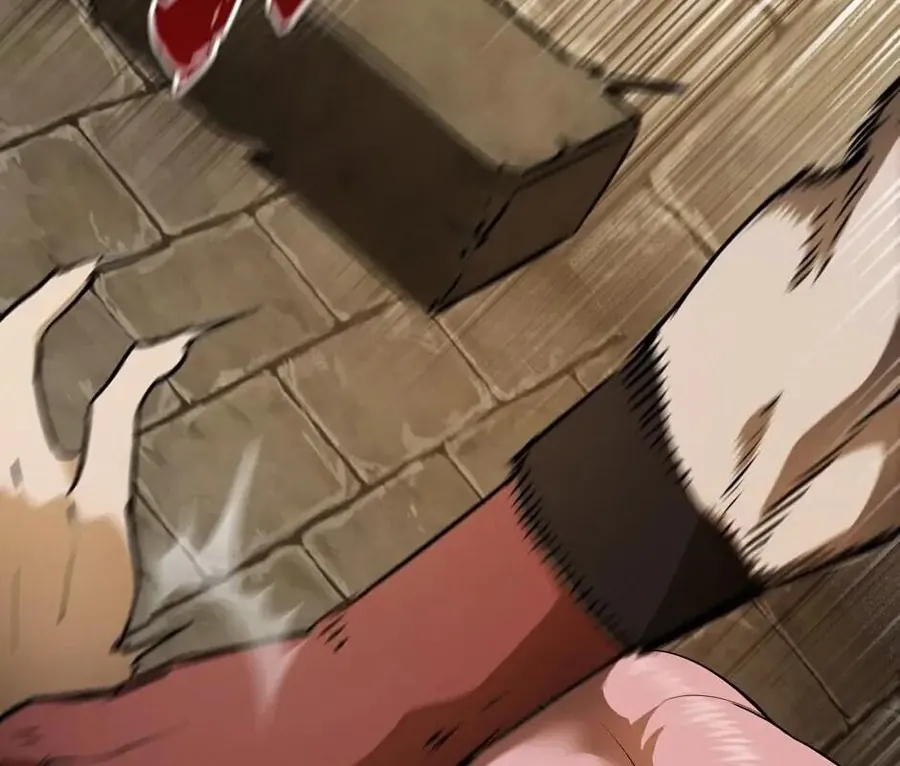 Câu Chuyện Sinh Tồn Của Kiếm Vương Ở Thế Giới Khác - Chương 86 - Trang 248