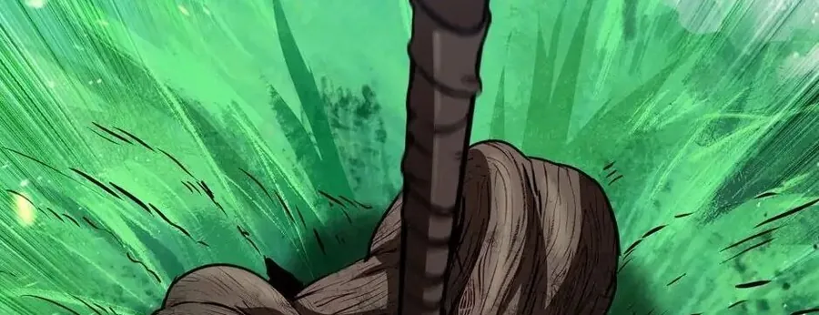 Câu Chuyện Sinh Tồn Của Kiếm Vương Ở Thế Giới Khác - Chương 75 - Trang 215