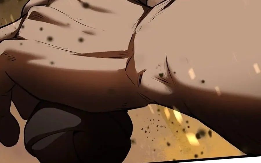 Câu Chuyện Sinh Tồn Của Kiếm Vương Ở Thế Giới Khác - Chương 75 - Trang 240