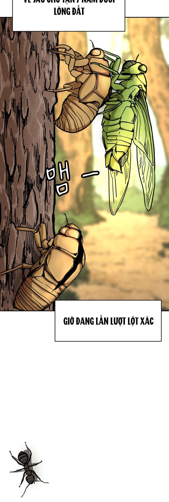 Vỏ Bọc - Chương 1 - Trang 3