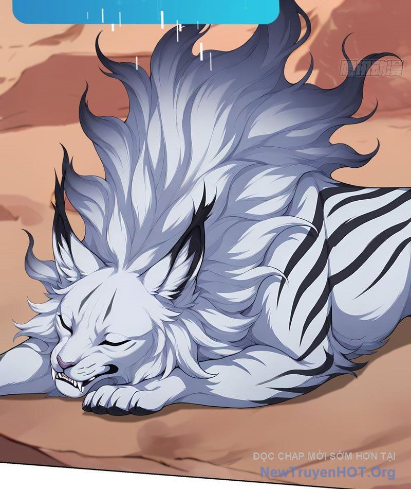 Thái Cổ Thập Hung: Người Khác Ngự Thú Ta Ngự Thú Nương - Chương 12 - Trang 24