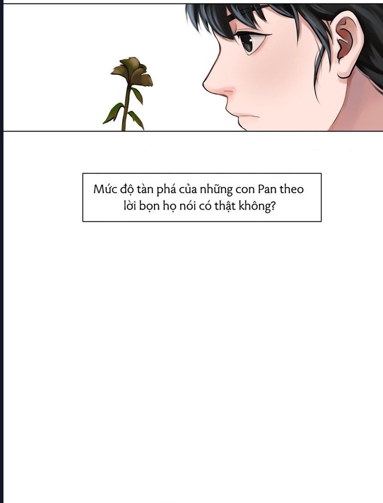 Kinhcomic Phù Thủy Kiến Tạo | Sự Trỗi Dậy Của Loài Pan - Chương 2 - Trang 44