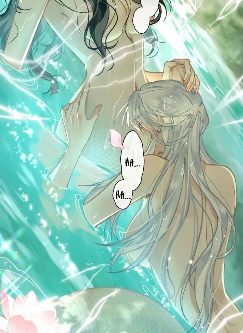 Đến Đông Hải Tìm Mỹ Nhân - Chương 59 - Trang 35