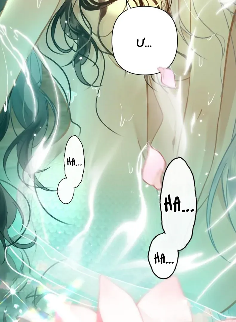 Đến Đông Hải Tìm Mỹ Nhân - Chương 59 - Trang 44