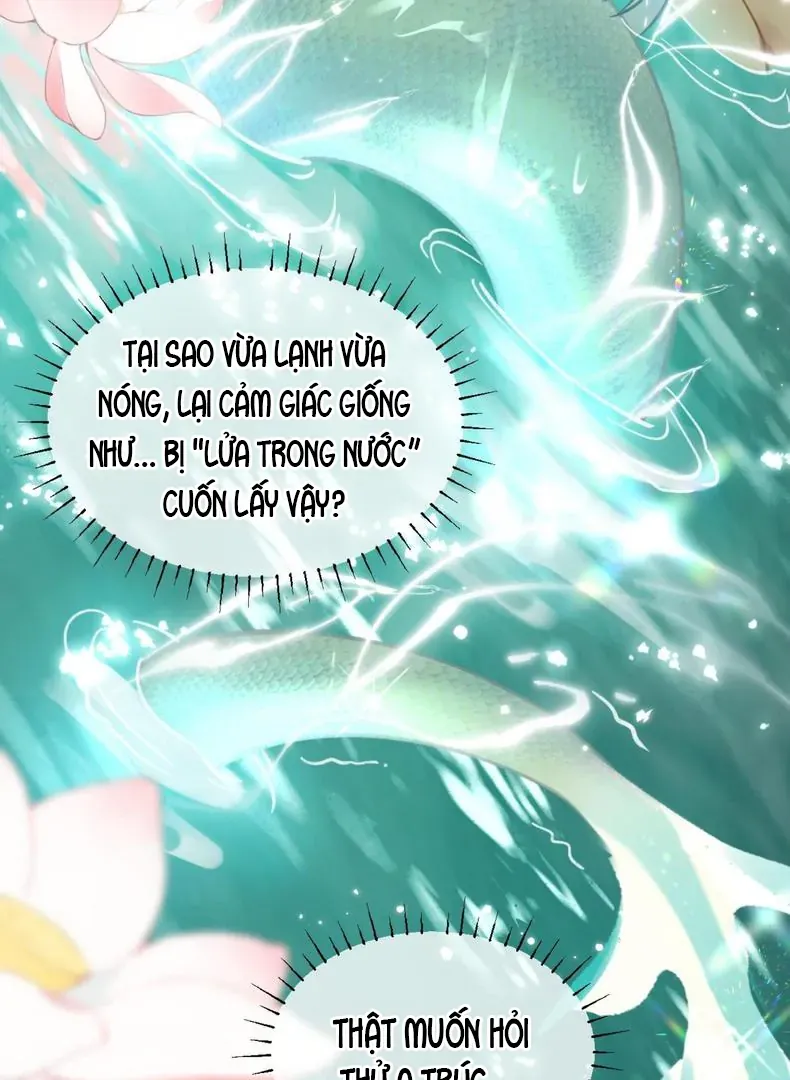 Đến Đông Hải Tìm Mỹ Nhân - Chương 59 - Trang 36