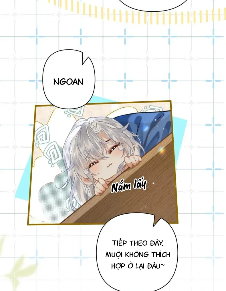 Đến Đông Hải Tìm Mỹ Nhân - Chương 59 - Trang 24