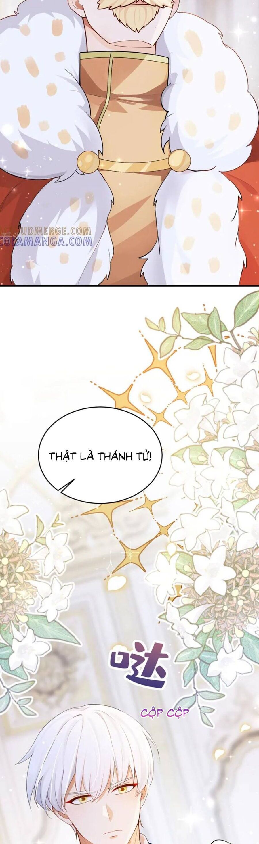 Sau Khi Nhường Lại Thiên Phú, Ta Trở Thành Bảo Bối Của Giới Pháp Thuật - Chương 41 - Trang 17