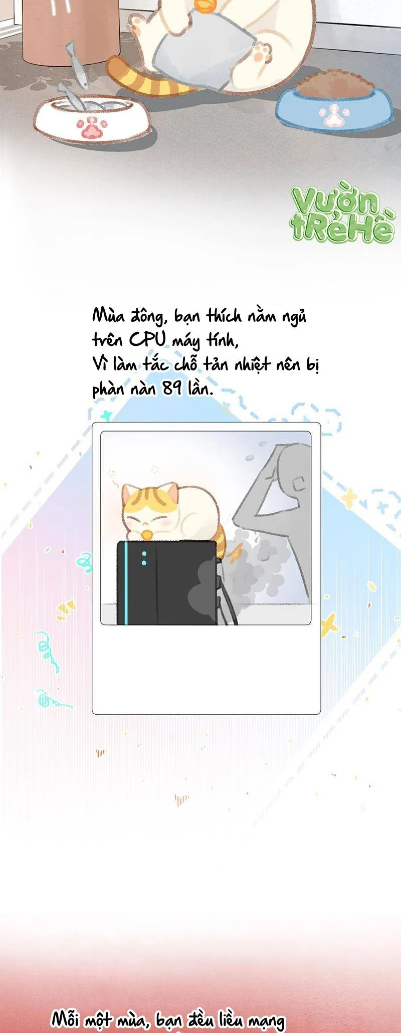 Lục Lạc Mèo - Chương 21 - Trang 10