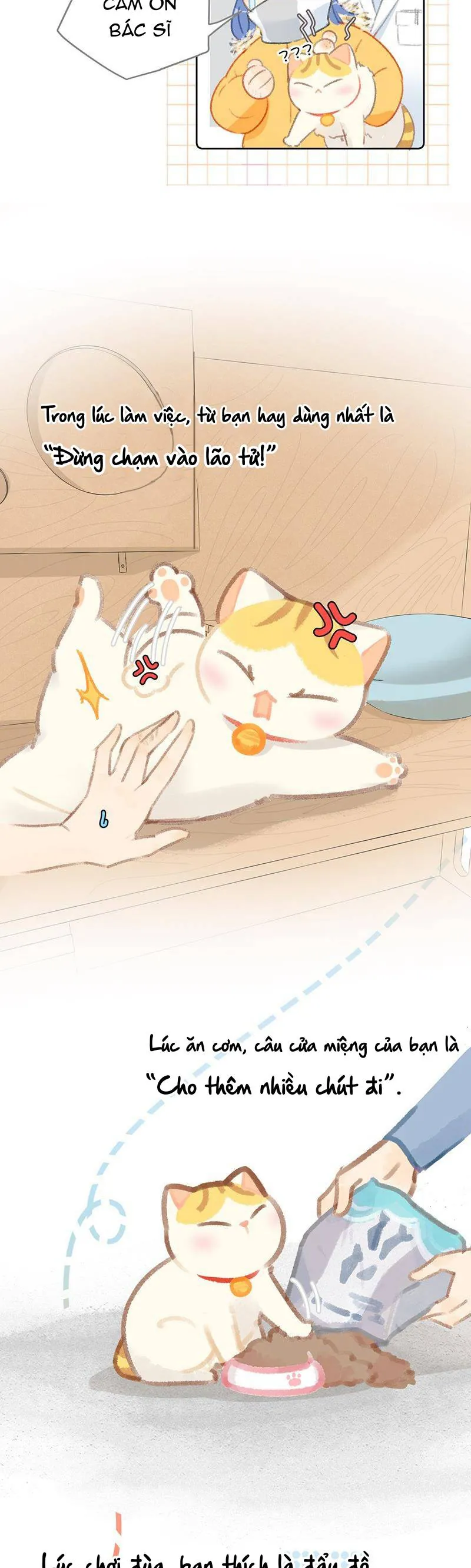 Lục Lạc Mèo - Chương 21 - Trang 7
