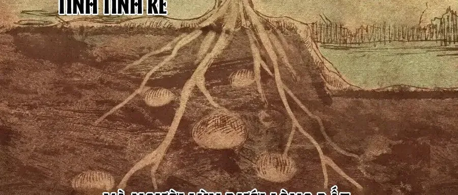 Câu Chuyện Sinh Tồn Của Kiếm Vương Ở Thế Giới Khác - Chương 73 - Trang 30