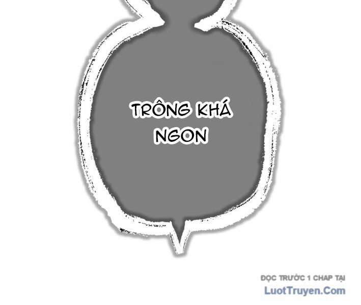 Sát Thần - Chương 15 - Trang 239