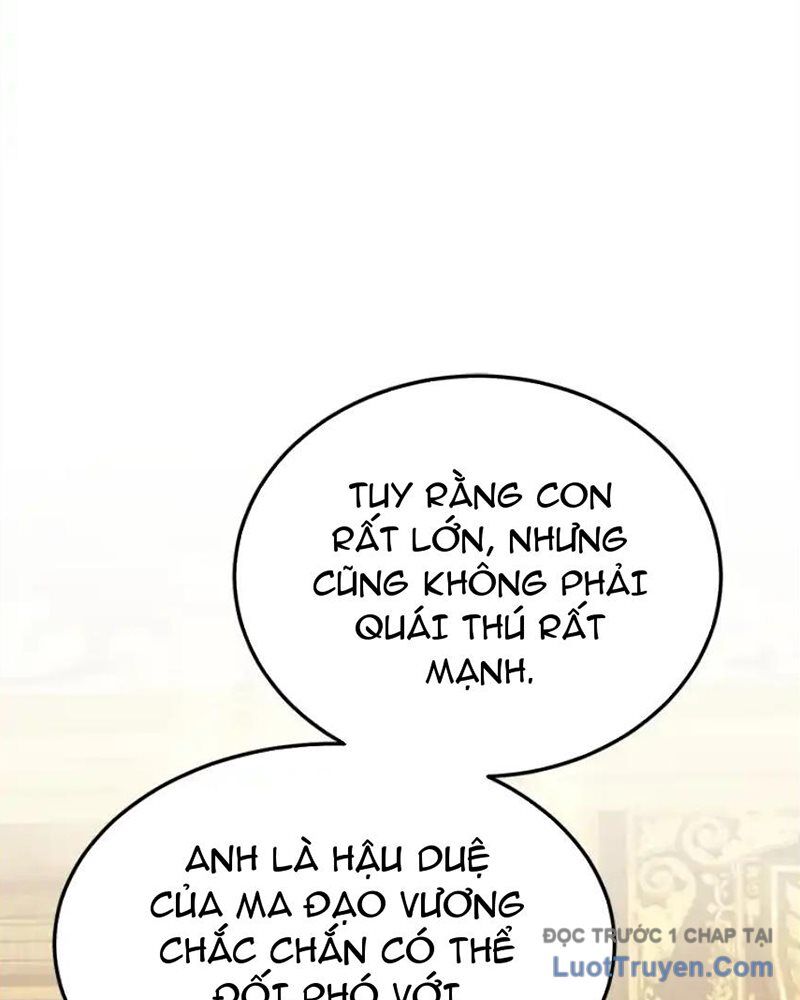 Tôi May Mắn Triệu Hồi Được Tinh Linh Hộ Vệ Hạng 10 - Chương 36 - Trang 41