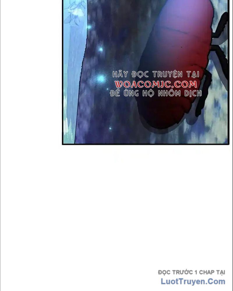 Tôi May Mắn Triệu Hồi Được Tinh Linh Hộ Vệ Hạng 10 - Chương 36 - Trang 67