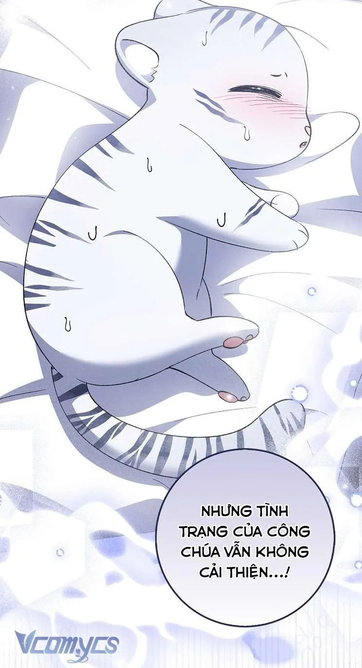 Công Chúa Bạch Hổ Không Có Nguy Hiểm Nha! - Chương 9 - Trang 12
