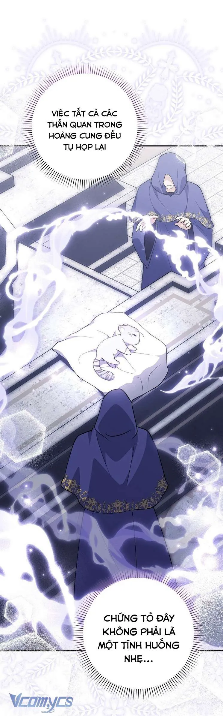 Công Chúa Bạch Hổ Không Có Nguy Hiểm Nha! - Chương 9 - Trang 14