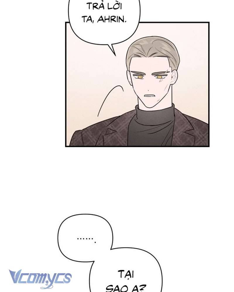 Tối Nay Tôi Là Người Được Cô Ấy Chọn - Chương 2 - Trang 24