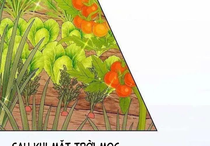 Không Gian Đặc Biệt Của Luật Sư Bình Dị - Chương 22 - Trang 15
