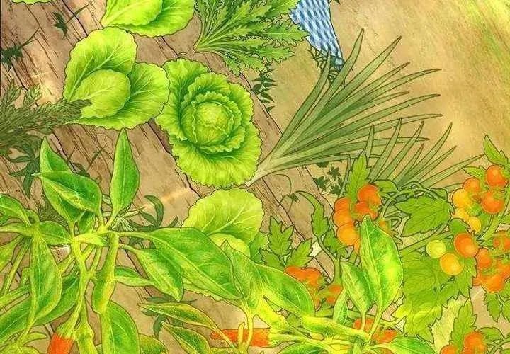 Không Gian Đặc Biệt Của Luật Sư Bình Dị - Chương 22 - Trang 25